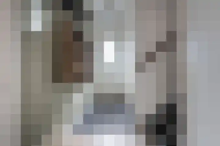 Meidoorn 9 Emmen thumbnail 4