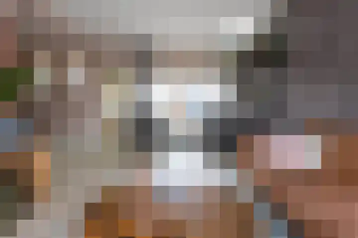 Meidoorn 9 Emmen thumbnail 8