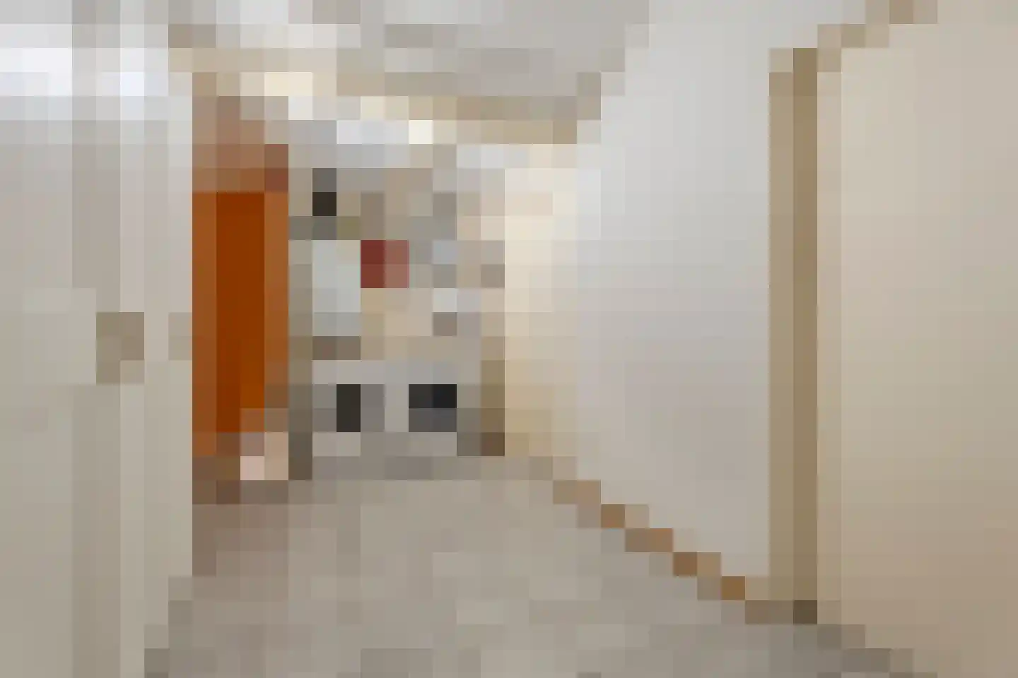 Meidoorn 96 Cuijk thumbnail 14