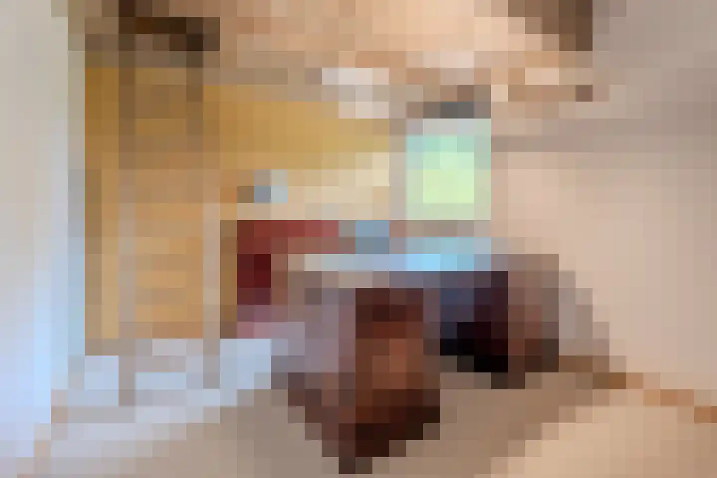 Meidoorn 96 Cuijk thumbnail 16