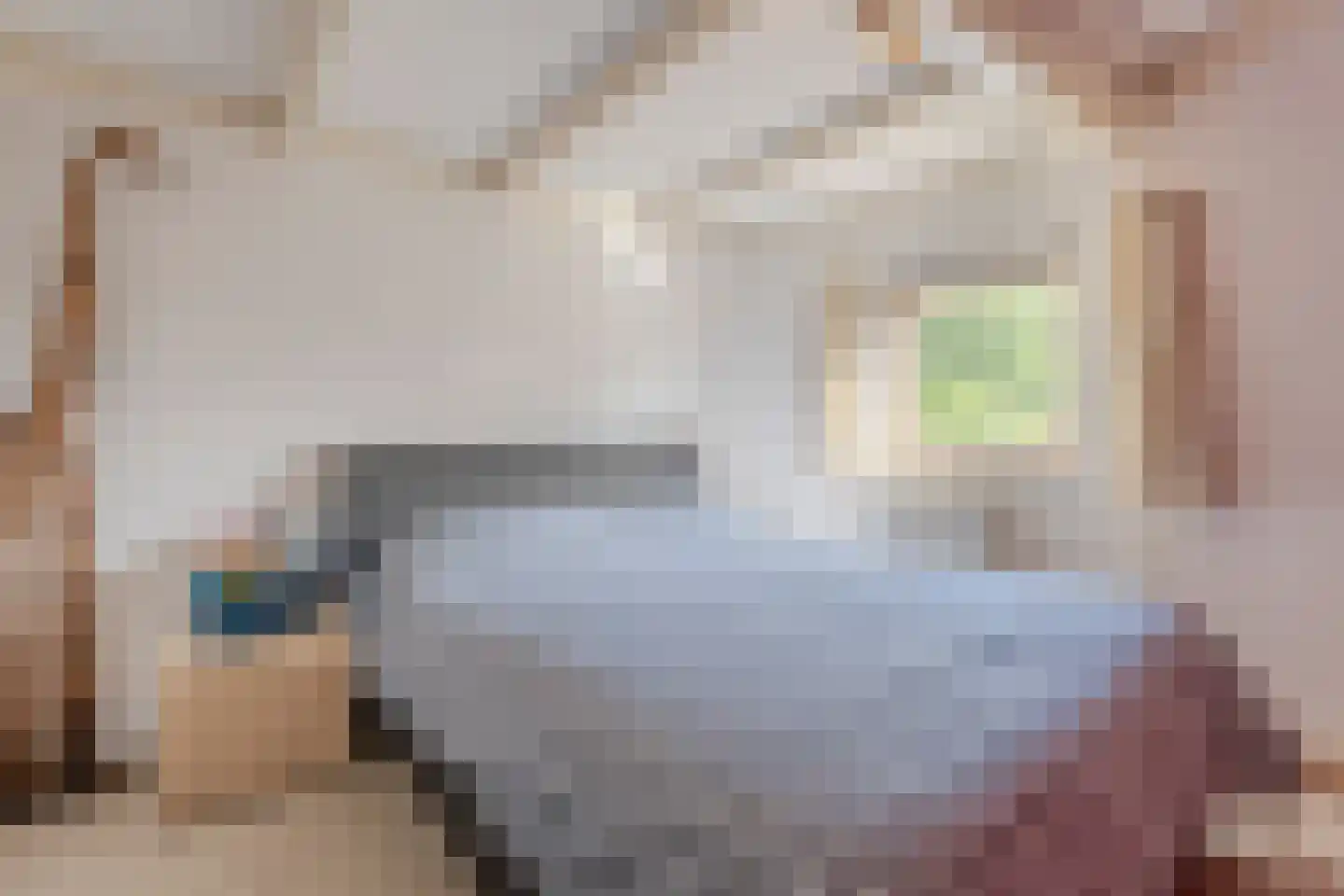 Meidoorn 96 Cuijk thumbnail 19
