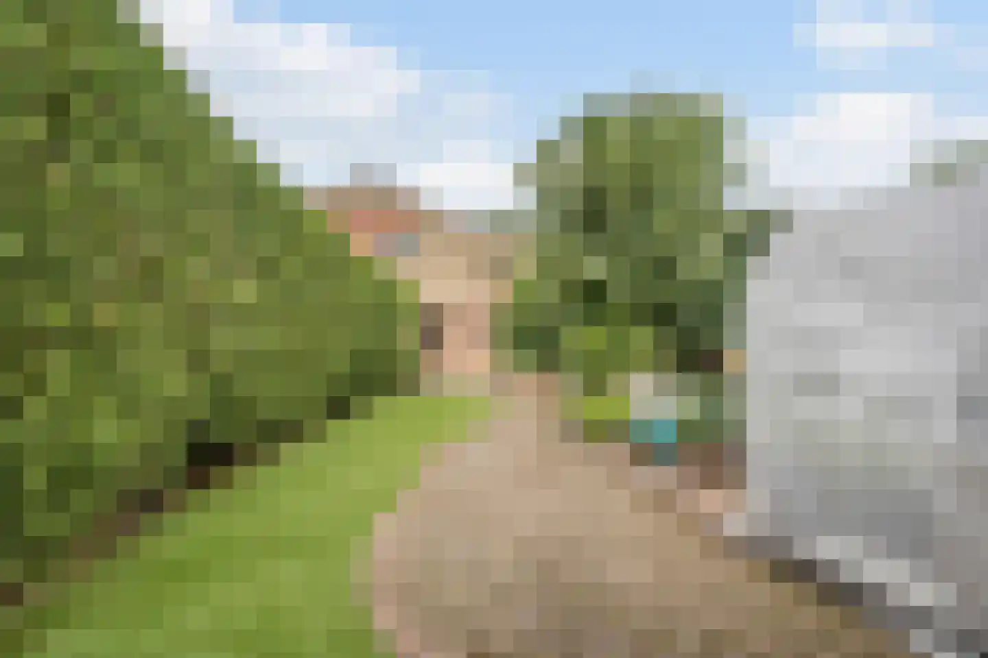 Meidoorn 96 Cuijk thumbnail 26