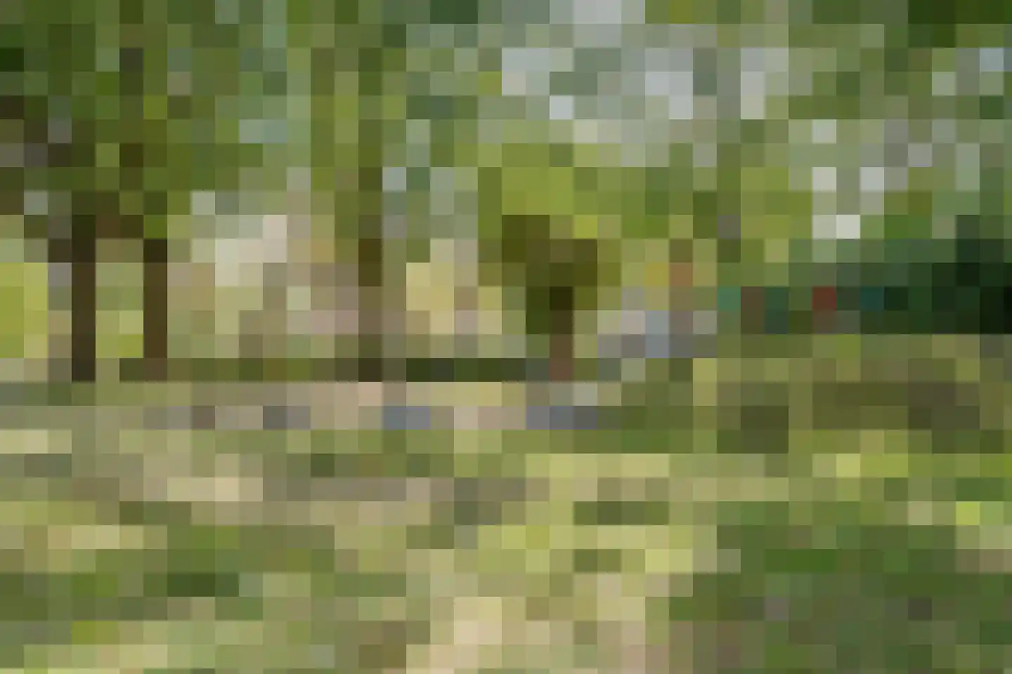 Meidoorn 96 Cuijk thumbnail 30