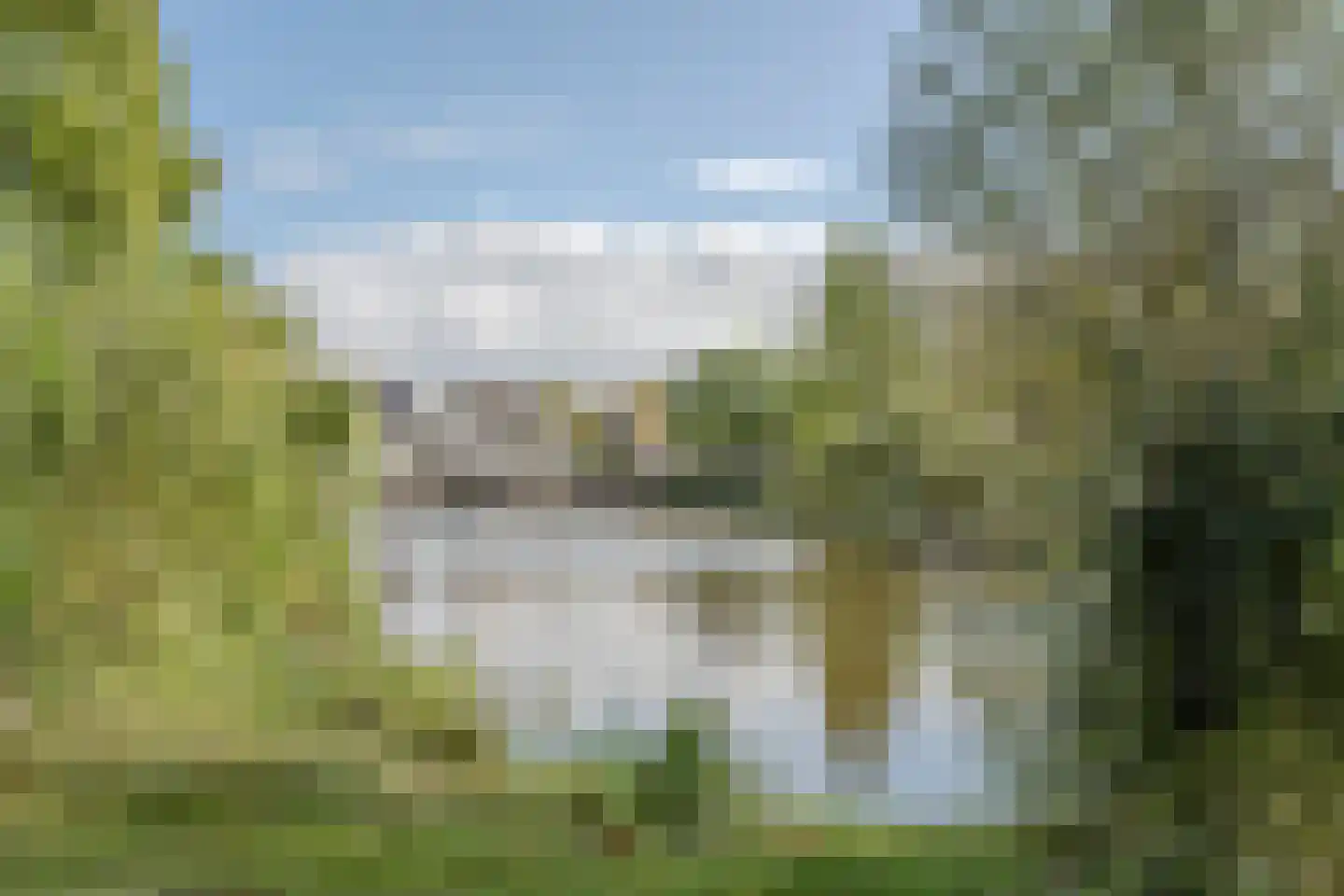 Meidoorn 96 Cuijk thumbnail 31