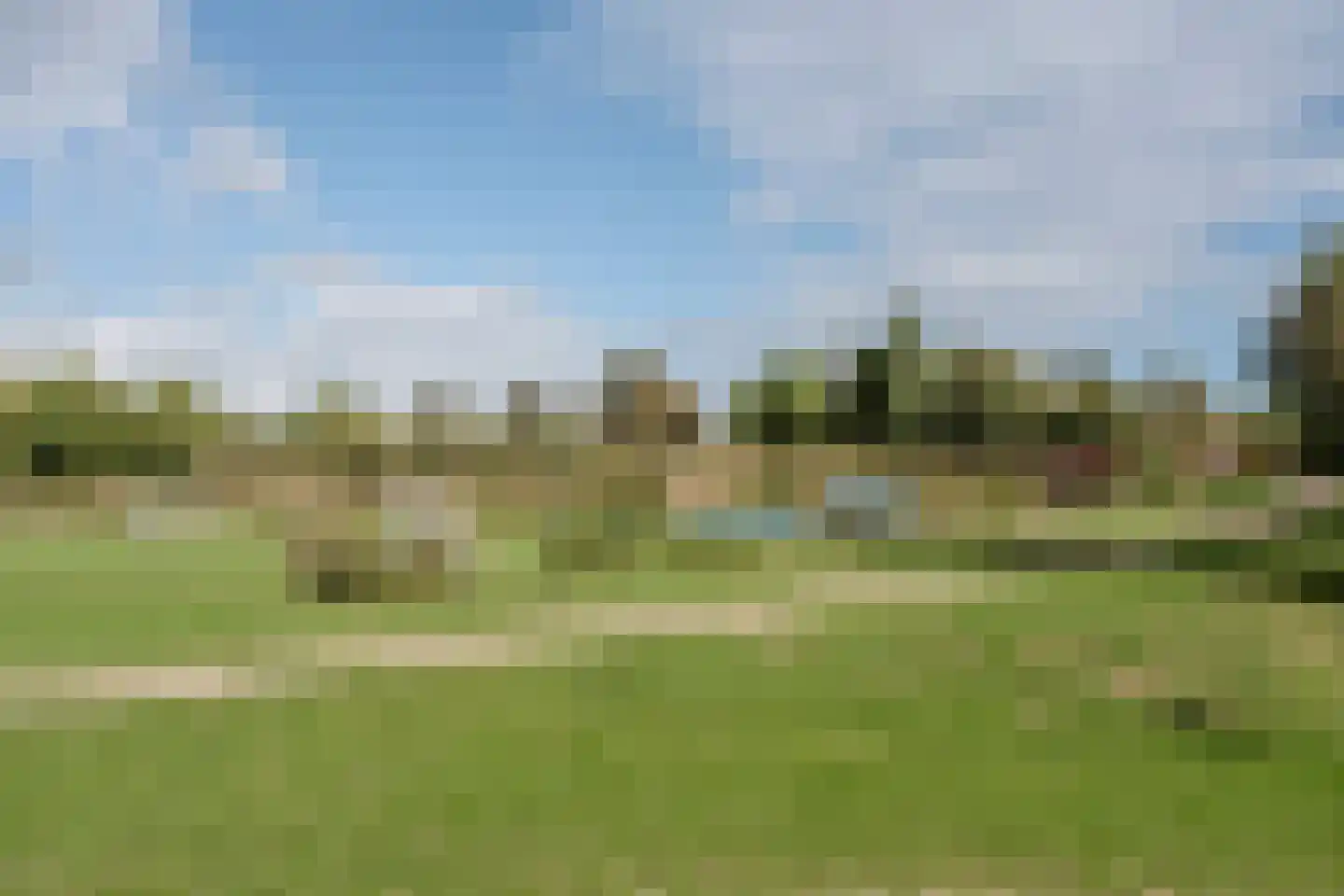 Meidoorn 96 Cuijk thumbnail 32