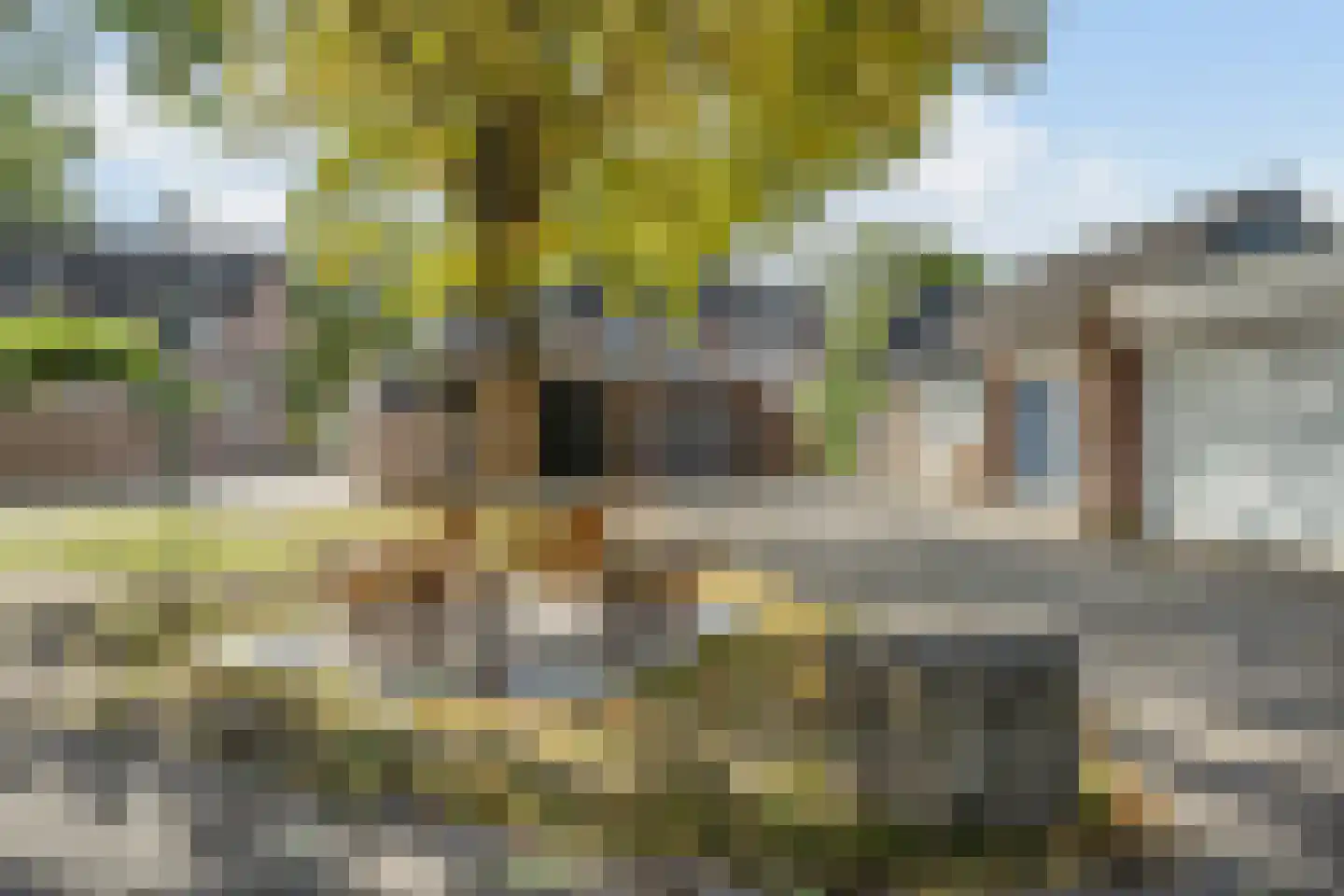 Meidoorn 96 Cuijk thumbnail 4