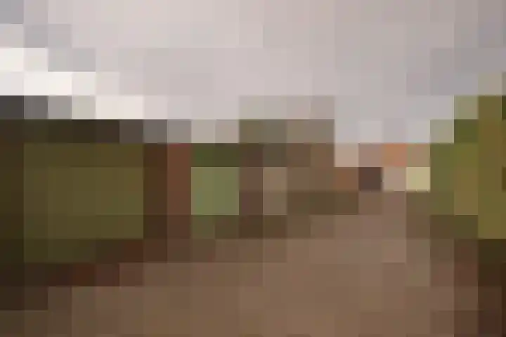Meidoorn 98 Maastricht thumbnail 17