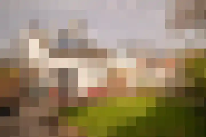 Meidoorn 98 Maastricht thumbnail 18