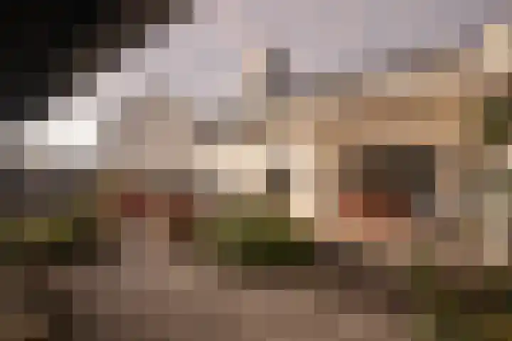 Meidoorn 98 Maastricht thumbnail 19