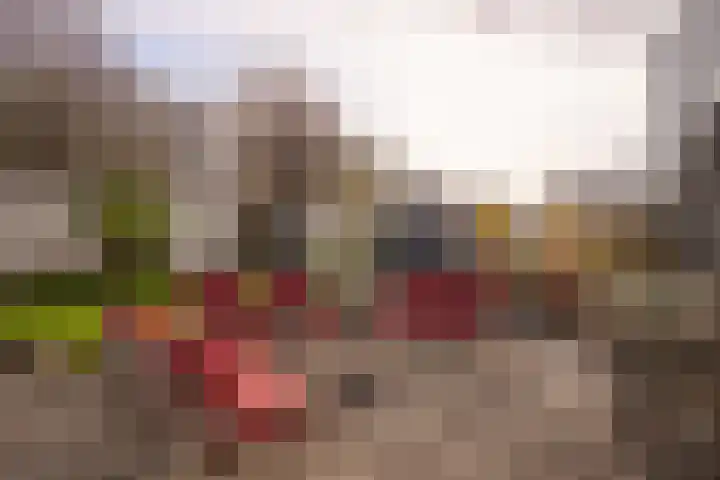 Meidoorn 98 Maastricht thumbnail 20