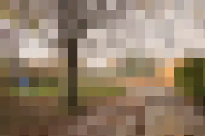 Meidoorn 98 Maastricht thumbnail 22