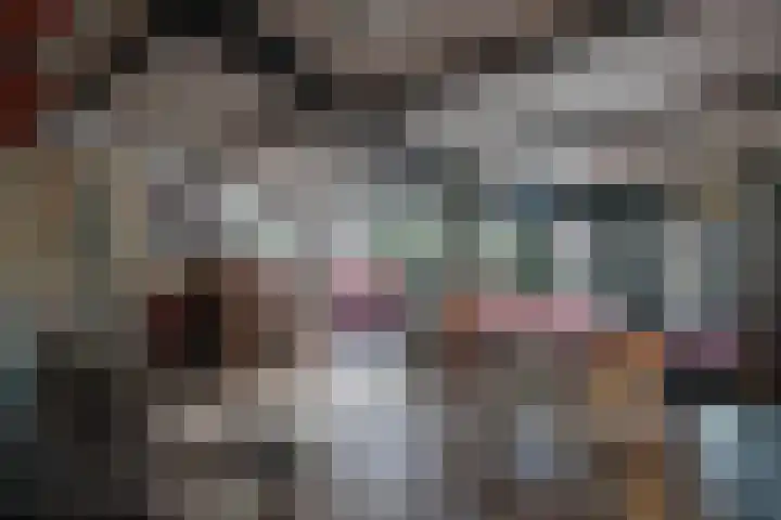 Meidoorn 98 Maastricht thumbnail 24