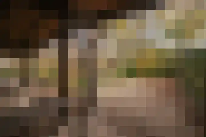 Meidoorn 98 Maastricht thumbnail 25