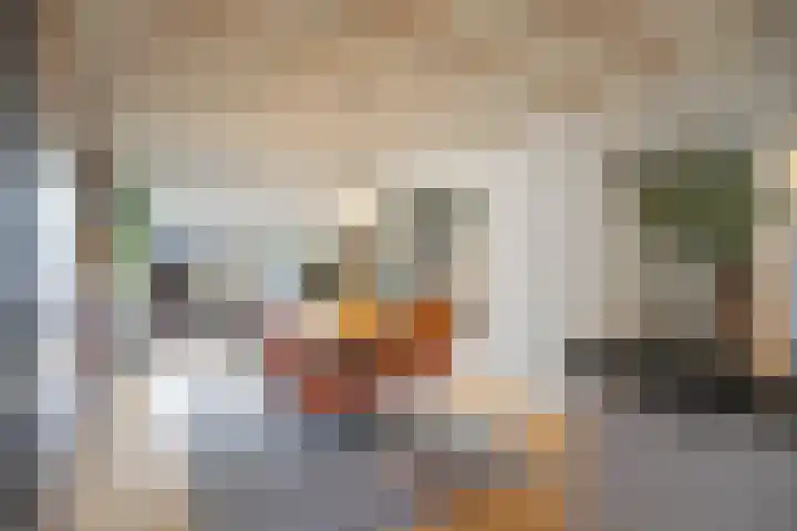 Meidoorn 98 Maastricht thumbnail 5