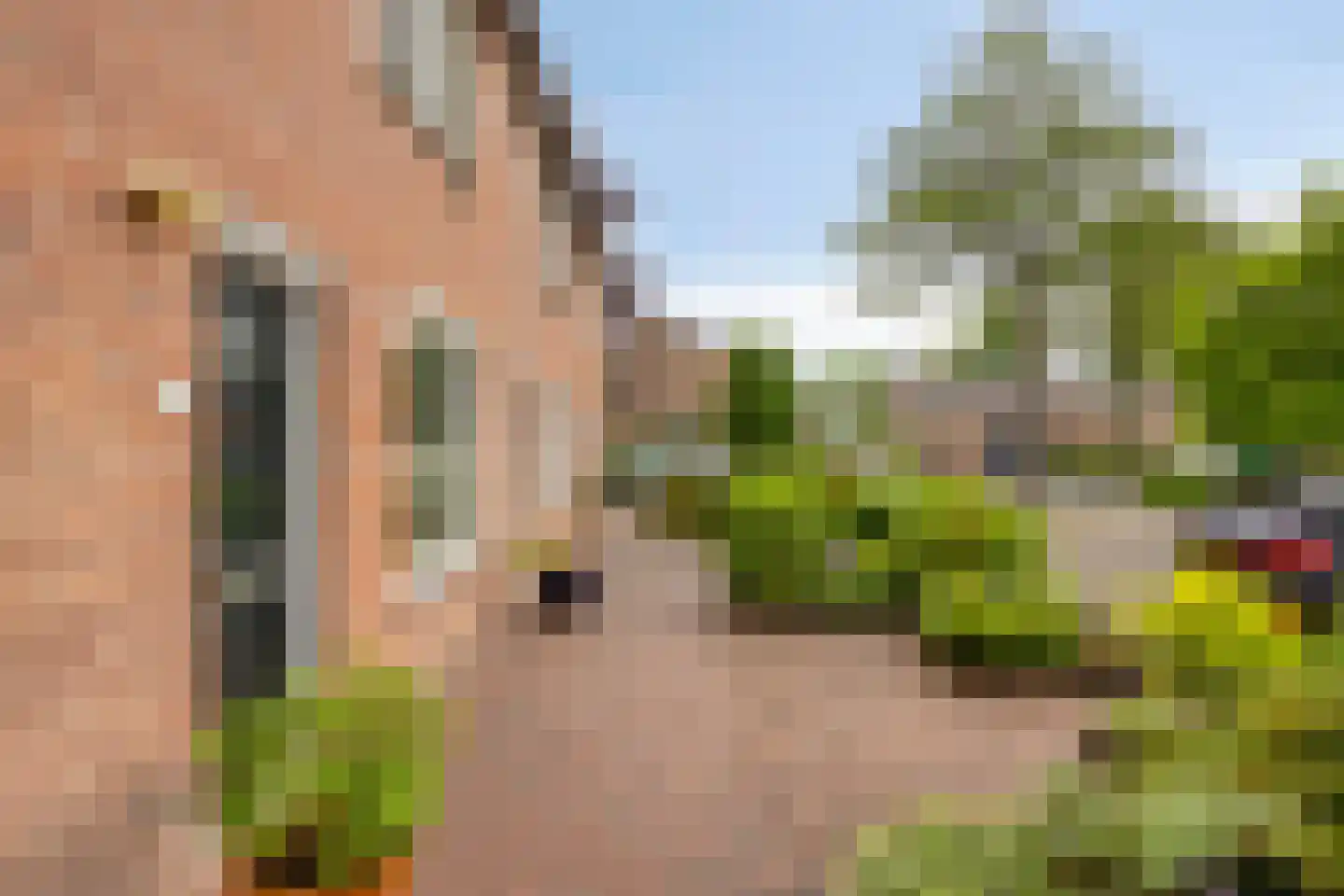Meidoornbeek 6 Veldhoven thumbnail 11