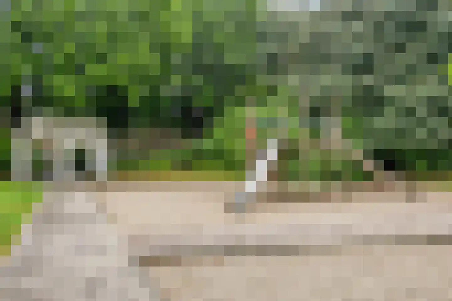 Meidoornbeek 6 Veldhoven thumbnail 13