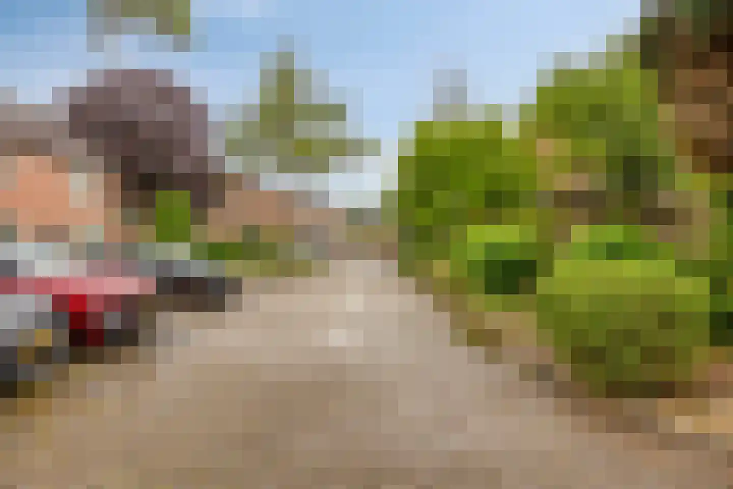 Meidoornbeek 6 Veldhoven thumbnail 41