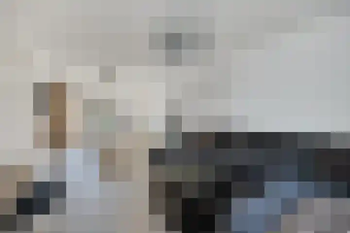 Meidoorngaard 1 Boxtel thumbnail 10