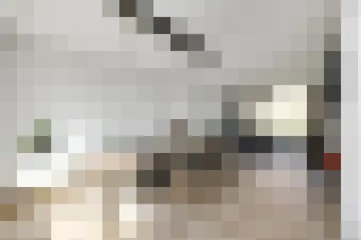Meidoorngaard 1 Boxtel thumbnail 14