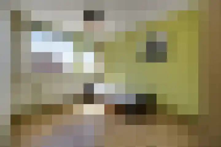 Meidoorngaard 1 Boxtel thumbnail 26