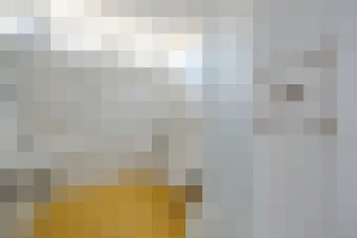 Meidoorngaard 1 Boxtel thumbnail 30