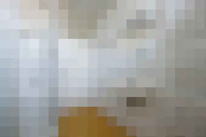 Meidoorngaard 1 Boxtel thumbnail 32