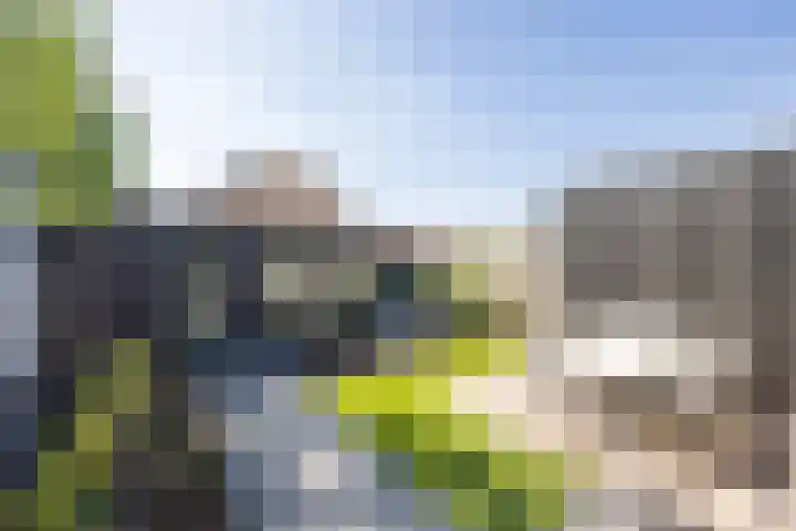 Meidoorngaard 1 Boxtel thumbnail 39