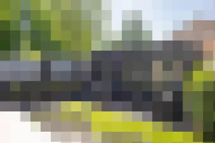 Meidoorngaard 1 Boxtel thumbnail 41