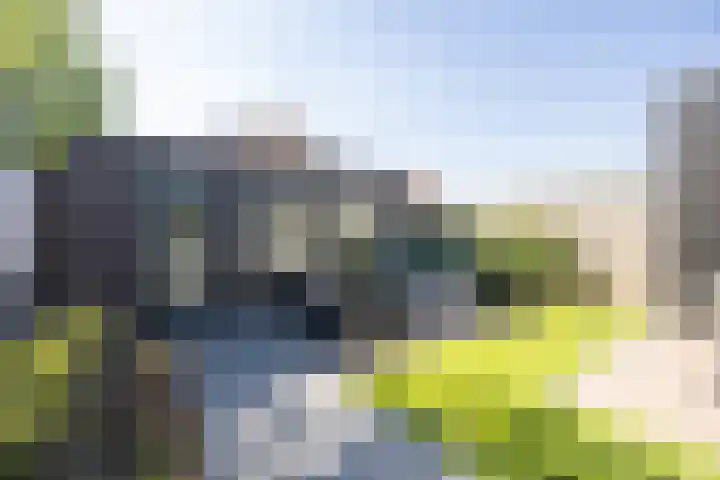 Meidoorngaard 1 Boxtel thumbnail 42