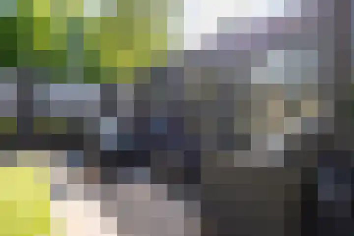 Meidoorngaard 1 Boxtel thumbnail 48