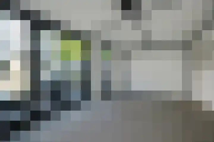 Meidoorngaard 1 Boxtel thumbnail 49