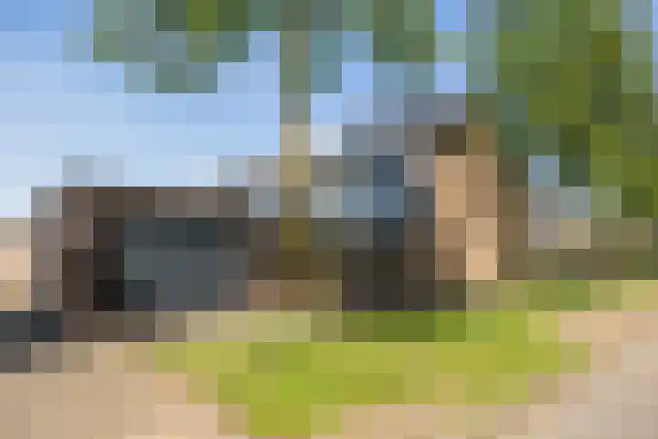 Meidoorngaard 1 Boxtel thumbnail 52