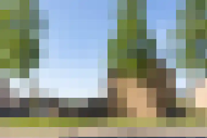 Meidoorngaard 1 Boxtel thumbnail 53