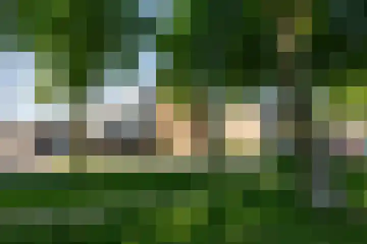 Meidoorngaard 1 Boxtel thumbnail 54