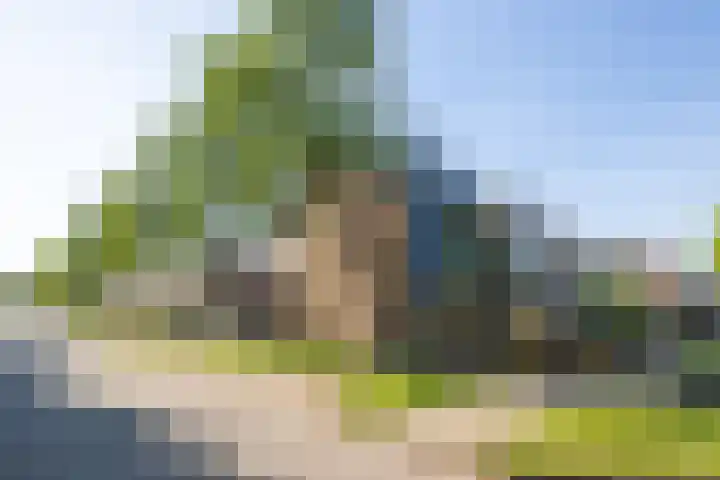 Meidoorngaard 1 Boxtel thumbnail 55