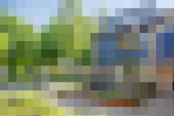 Meidoorngaard 1 Boxtel thumbnail 59