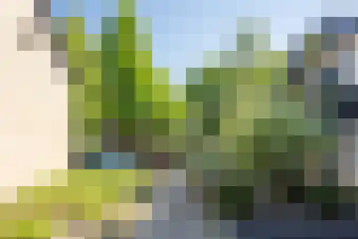 Meidoorngaard 1 Boxtel thumbnail 60