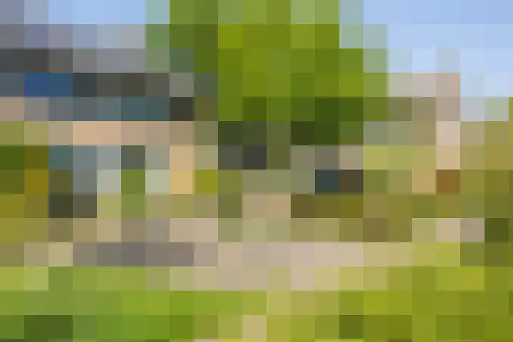 Meidoorngaard 1 Boxtel thumbnail 61