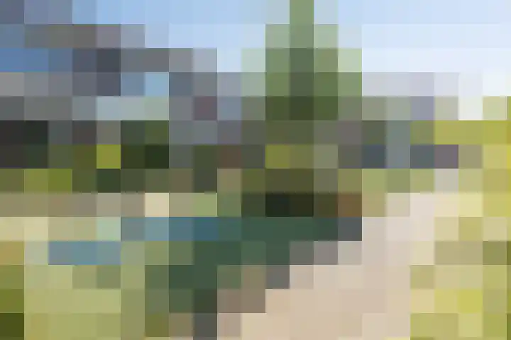 Meidoorngaard 1 Boxtel thumbnail 62