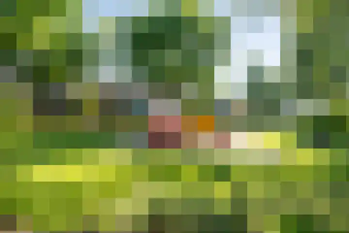 Meidoorngaard 1 Boxtel thumbnail 63