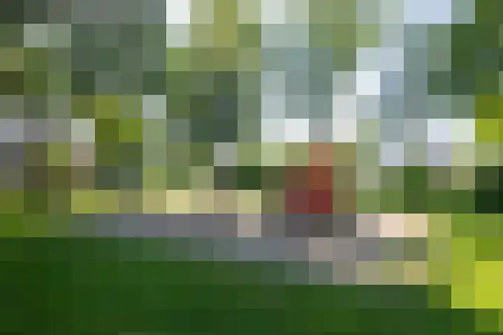 Meidoorngaard 1 Boxtel thumbnail 64