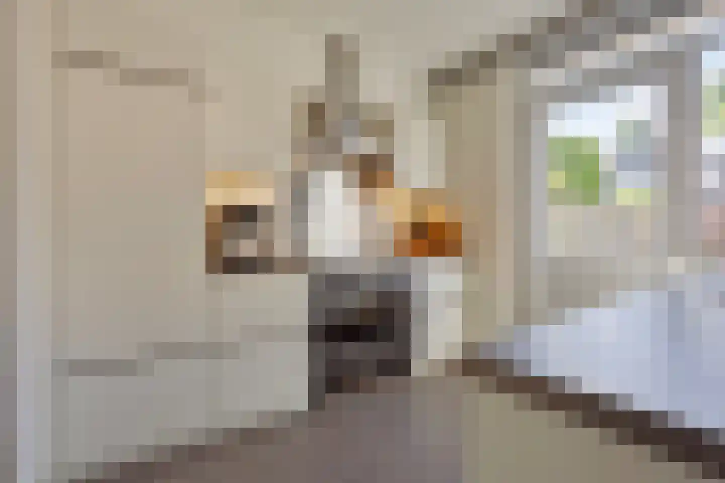 Meidoorngaard 28 Boxtel thumbnail 21