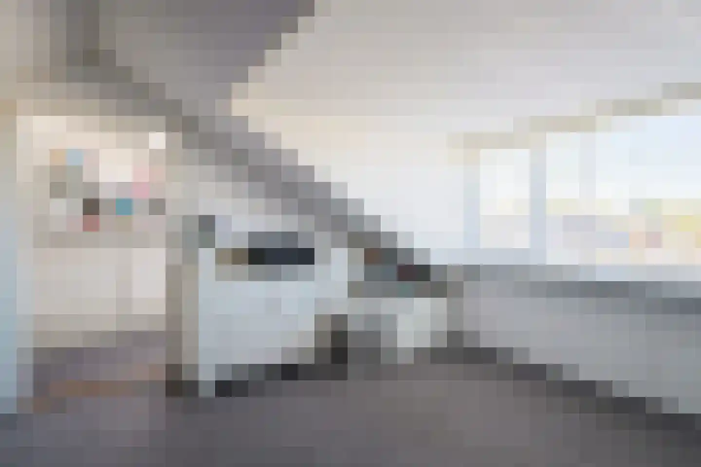Meidoorngaard 6 Boxtel thumbnail 33