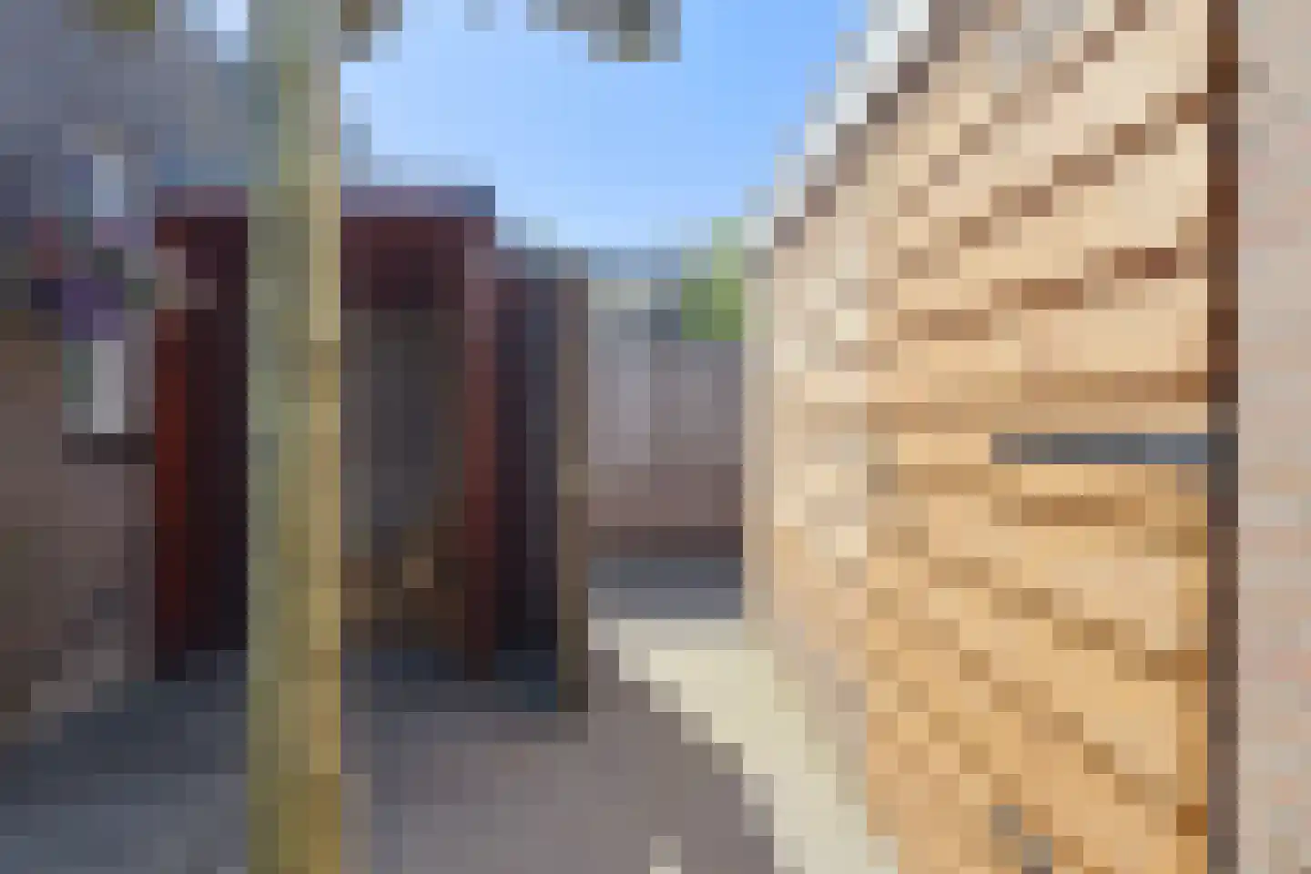 Meidoorngaard 6 Boxtel thumbnail 42