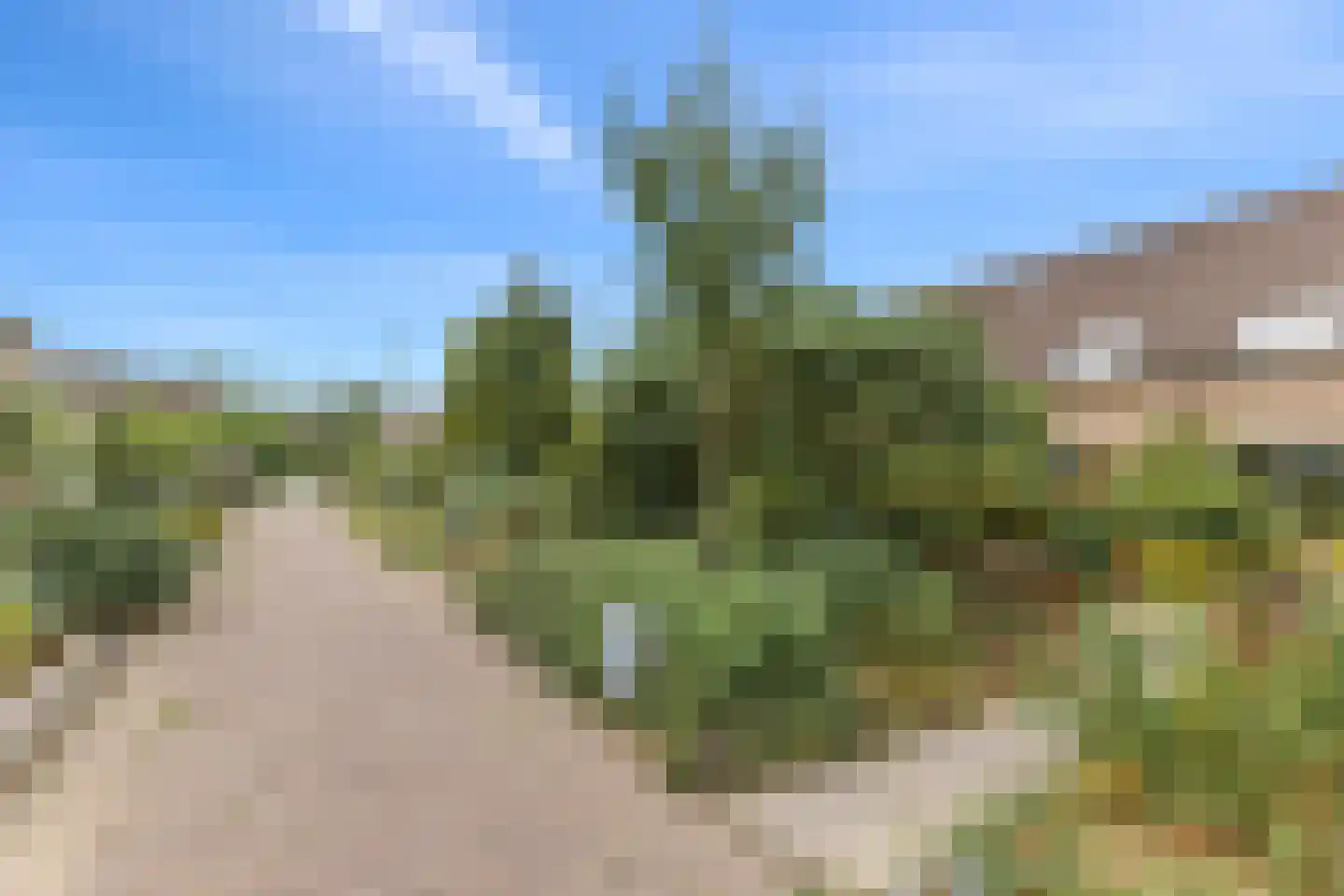Meidoornhaag 11 Leersum thumbnail 6