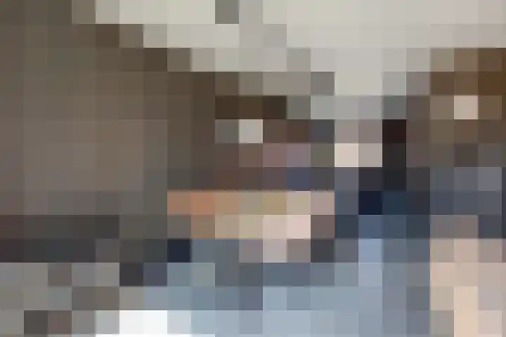 Meidoornhof 13 De Lier thumbnail 13