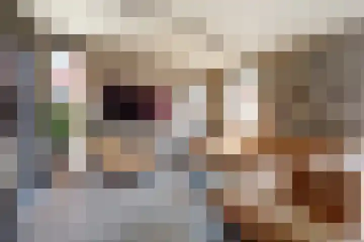Meidoornhof 13 De Lier thumbnail 4
