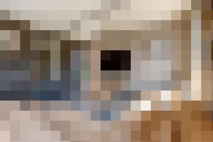 Meidoornhof 13 De Lier thumbnail 7