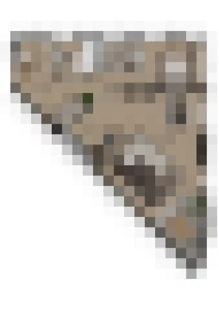 Meidoornhof 13 Woudrichem thumbnail 32