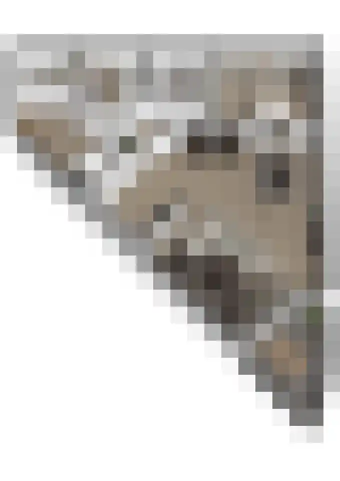 Meidoornhof 13 Woudrichem thumbnail 33